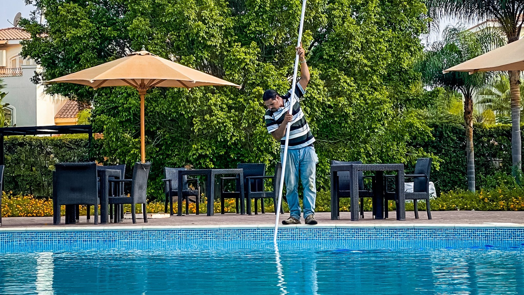 Winning Pool Season - Sears Pool
